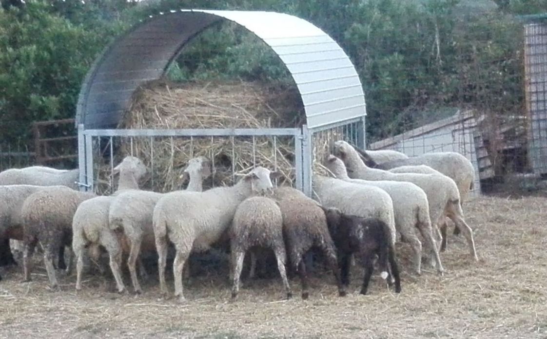 Società Agricola Le Querce s.s.