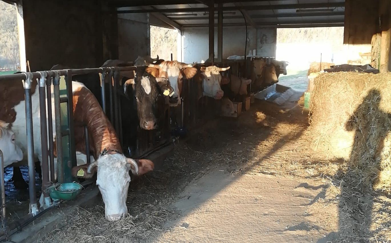 Società Agricola Le Querce s.s.