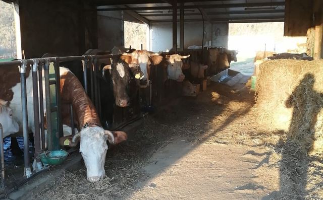Società Agricola Le Querce s.s.