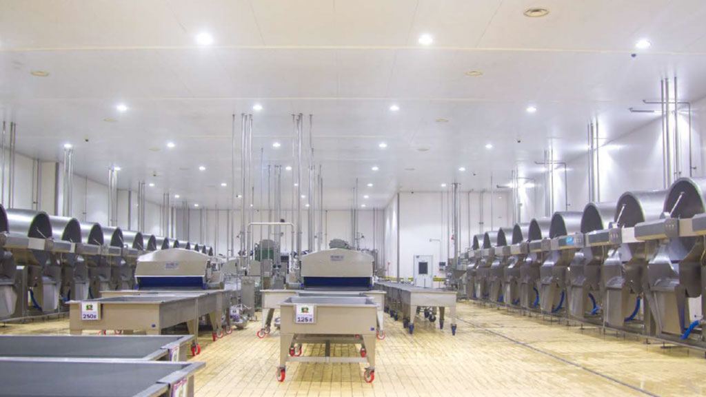 Stabilimento produttivo di Casearia Cioffi a Eboli
