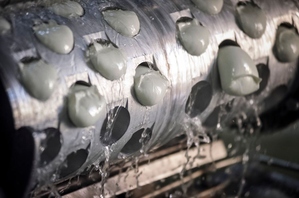 Produzione artigianale di mozzarella presso Casearia Cioffi