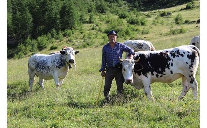 Società Agricola Fratelli Cibrario
