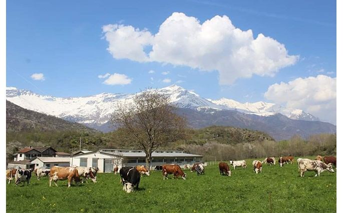 Società Agricola Fratelli Cibrario