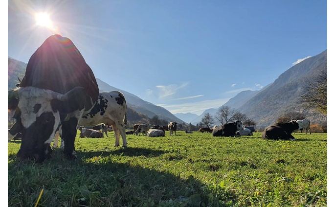 Società Agricola Fratelli Cibrario