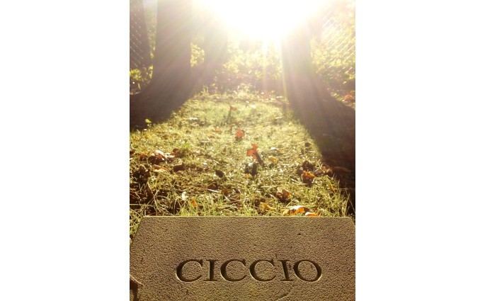 Il Parco Di Snoopy Amici Per Sempre