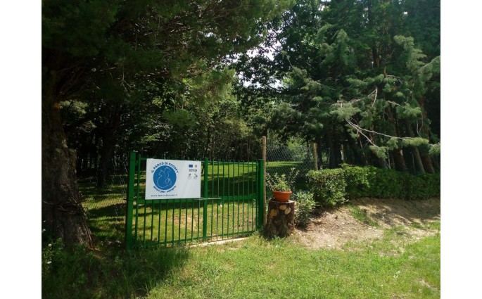 Il Parco Di Snoopy Amici Per Sempre