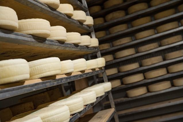 CASEIFICIO TRAVERSO BY MILK&CHEESE