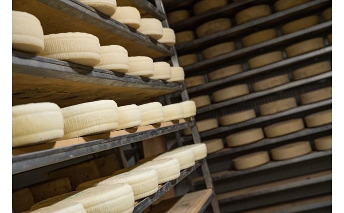 CASEIFICIO TRAVERSO BY MILK&CHEESE