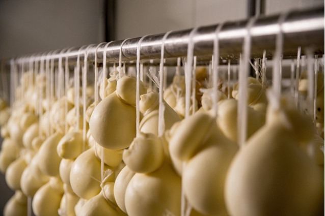 CASEIFICIO TRAVERSO BY MILK&CHEESE