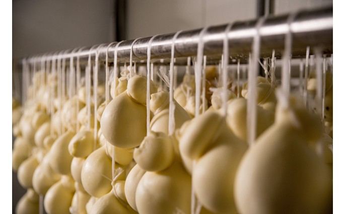 CASEIFICIO TRAVERSO BY MILK&CHEESE