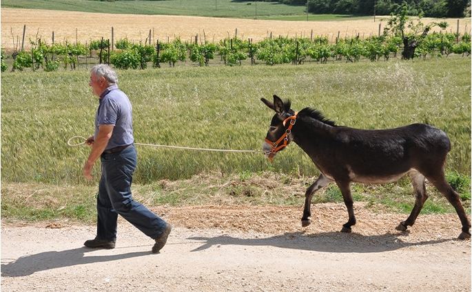 Res Nova Il Colle