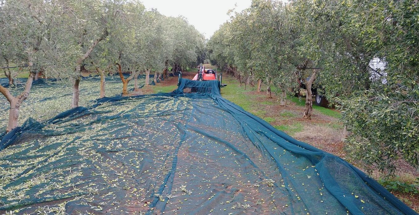 CRF COSTRUZIONI - innovazione e tecnologia applicata all'Agricoltura dal 1983