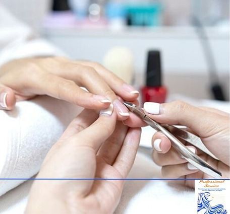 PROFESSIONAL SERVICE S.a.s Di Lucchese Lucia e Granata Alessandro