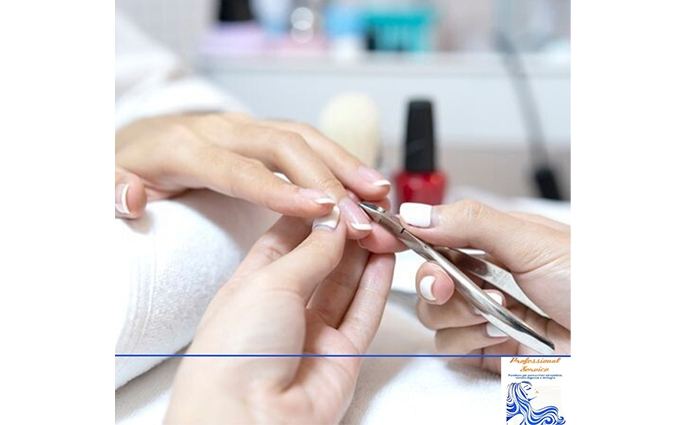 PROFESSIONAL SERVICE S.a.s Di Lucchese Lucia e Granata Alessandro