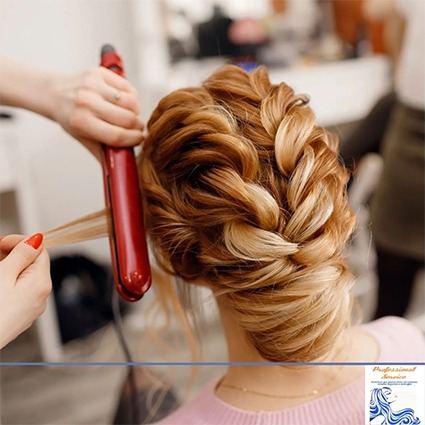 PROFESSIONAL SERVICE S.a.s Di Lucchese Lucia e Granata Alessandro