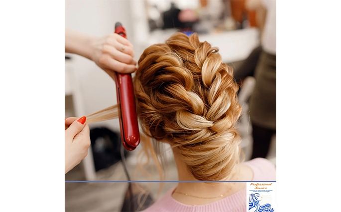 PROFESSIONAL SERVICE S.a.s Di Lucchese Lucia e Granata Alessandro