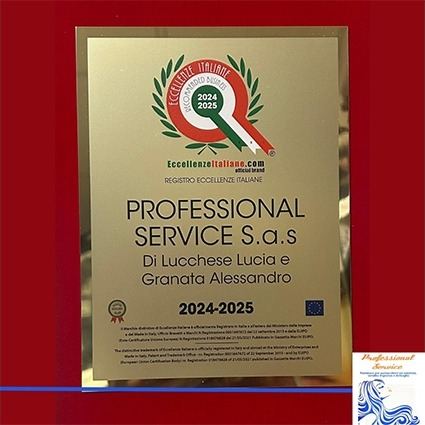 PROFESSIONAL SERVICE S.a.s Di Lucchese Lucia e Granata Alessandro