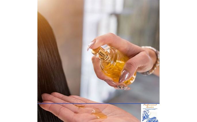 PROFESSIONAL SERVICE S.a.s Di Lucchese Lucia e Granata Alessandro