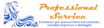 PROFESSIONAL SERVICE S.a.s Di Lucchese Lucia e Granata Alessandro