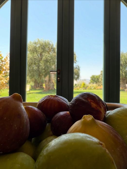 BAMBARONE LA MASSERIA
