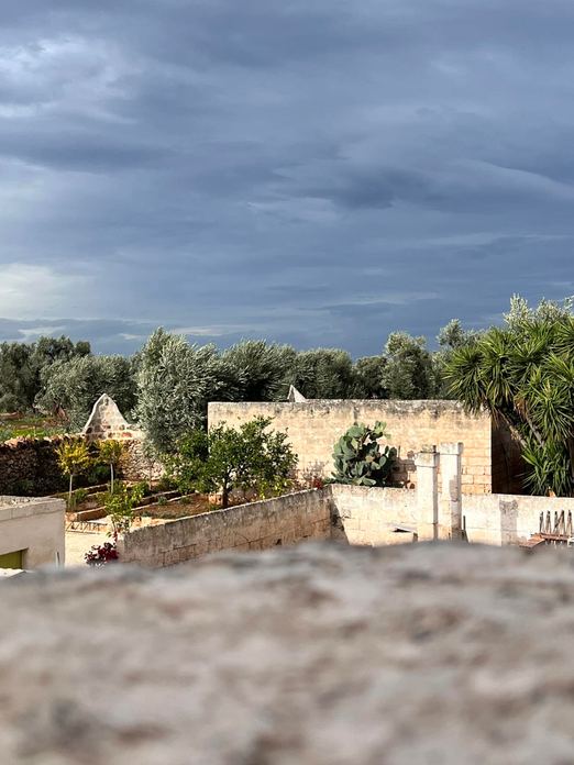 BAMBARONE LA MASSERIA