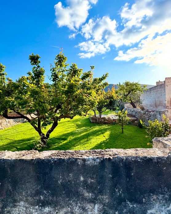 BAMBARONE LA MASSERIA