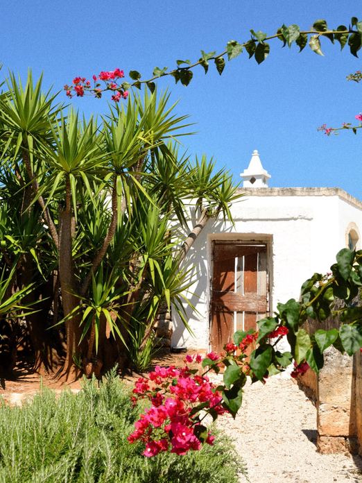 BAMBARONE LA MASSERIA