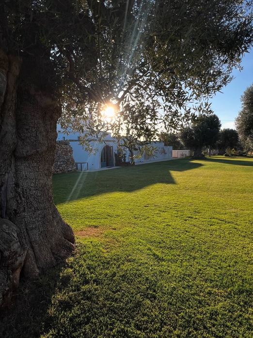 BAMBARONE LA MASSERIA