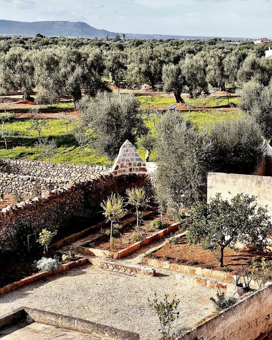 BAMBARONE LA MASSERIA
