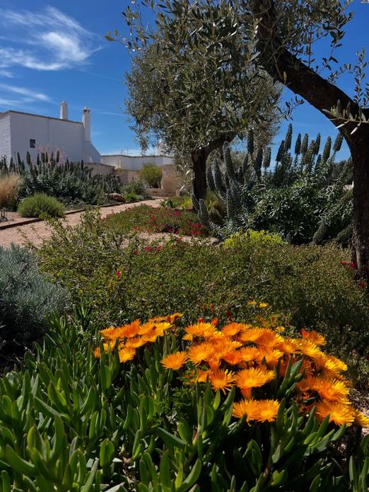 BAMBARONE LA MASSERIA