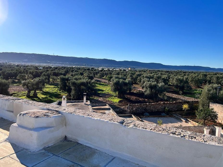 BAMBARONE LA MASSERIA
