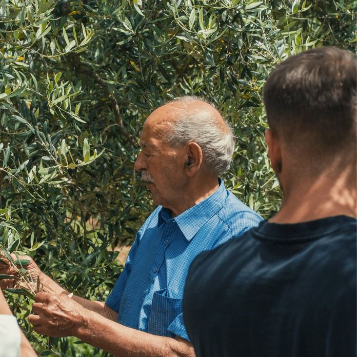 Società Agricola Fratelli Ludovisi Srl
