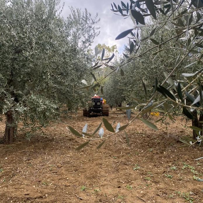 Società Agricola Fratelli Ludovisi Srl