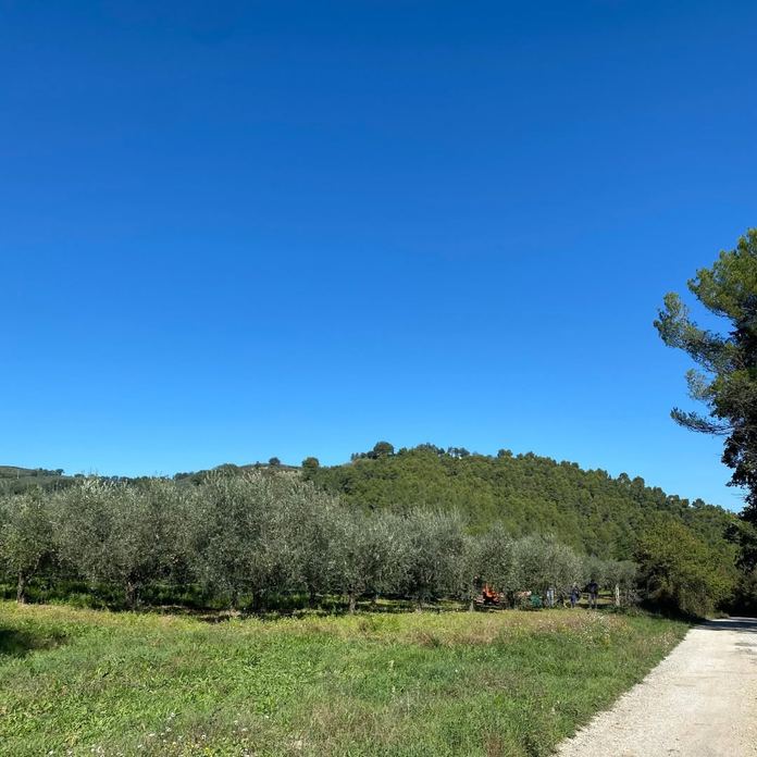 Società Agricola Fratelli Ludovisi Srl