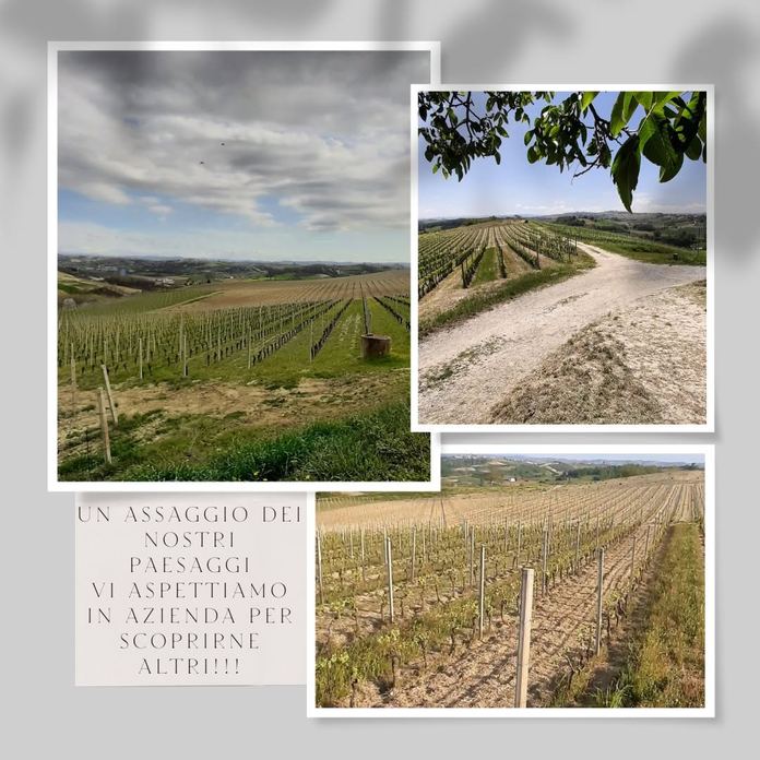 CANTINA LA LIGNITE di FERRETTI TIBERIO