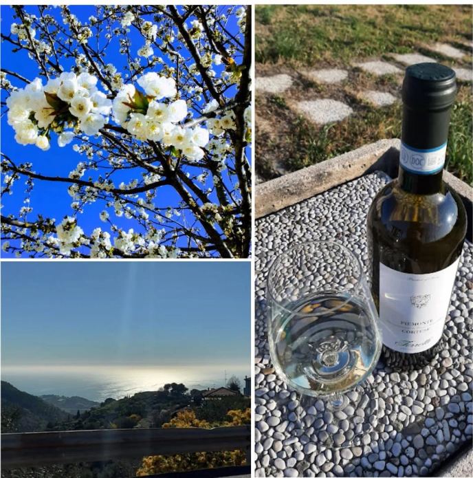 CANTINA LA LIGNITE di FERRETTI TIBERIO