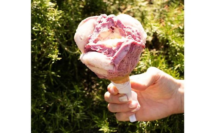 Gelateria Pacifico - Gelato Artigianale